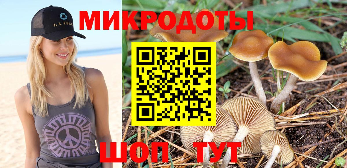 Псилоцибиновые грибы Magic Shrooms Пушкино