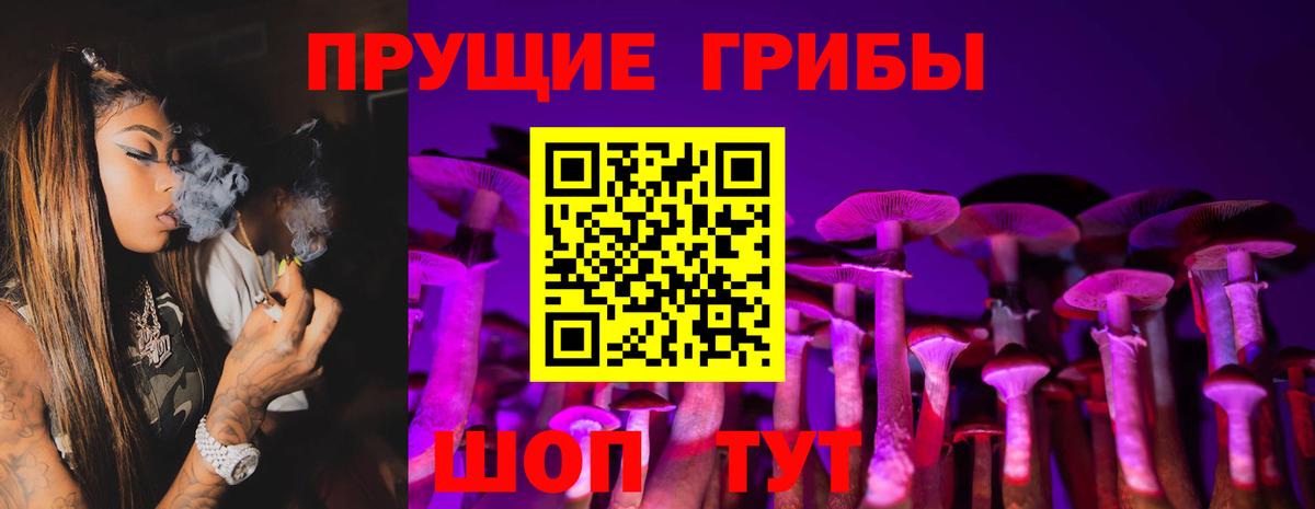 Пушкино  Галлюциногенные грибы мицелий  Вход с VPN  Псилоцибиновые грибы Cubensis 